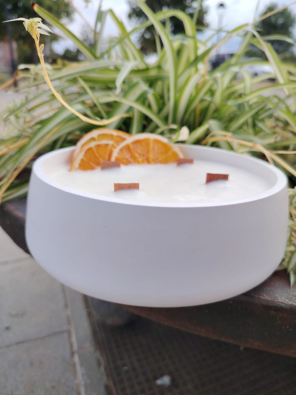 Vela Aromática-  XL