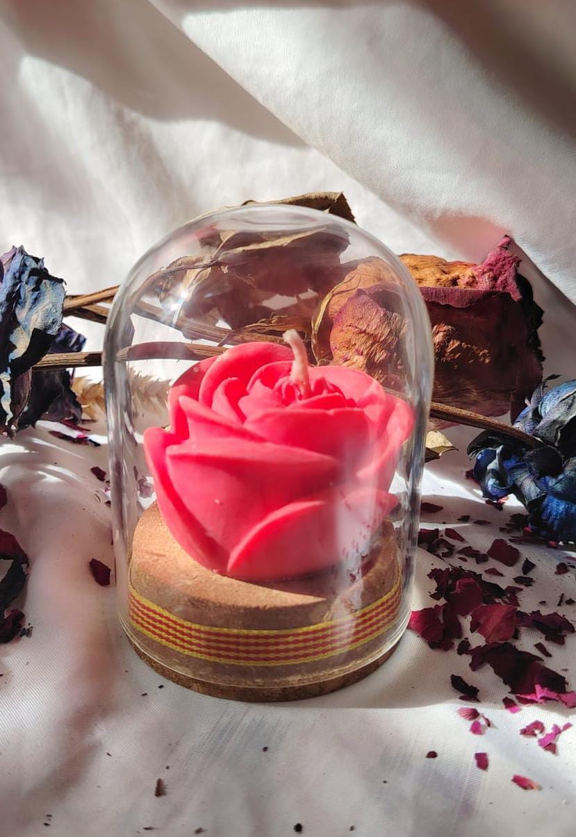 Rosa Sant Jordi 🌹